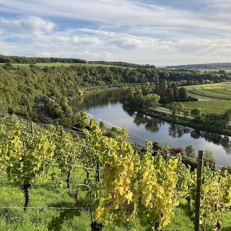 Apartment Near The Moselle With Terrace *