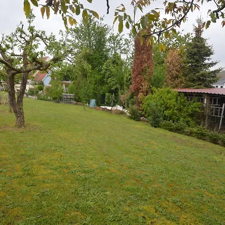 Near The Moselle With Terrace Wehr (Trier-Saarburg)