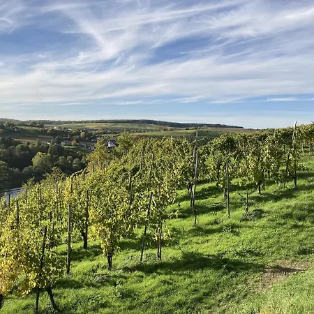 Charmante Ferienhaus In Palzem Apartmán Wehr (Trier-Saarburg)