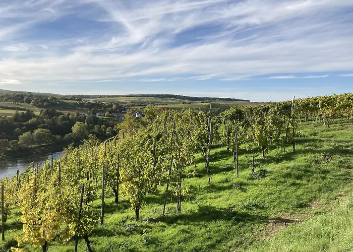 Charmante In Palzem 公寓 Wehr (Trier-Saarburg)